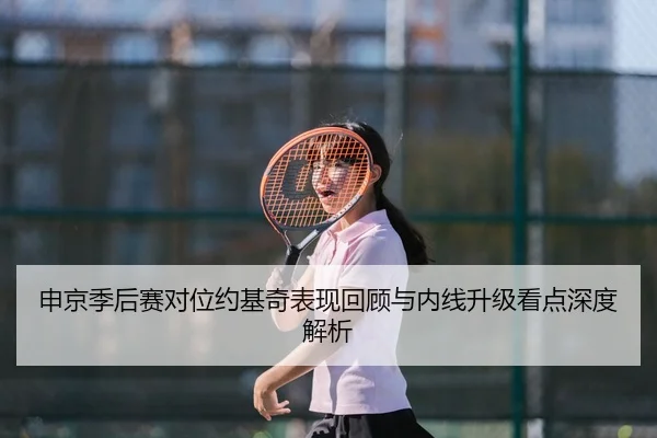 申京季后赛对位约基奇表现回顾与内线升级看点深度解析