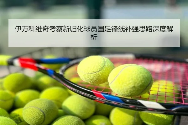 伊万科维奇考察新归化球员国足锋线补强思路深度解析