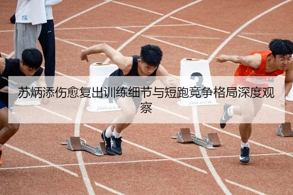 苏炳添伤愈复出训练细节与短跑竞争格局深度观察